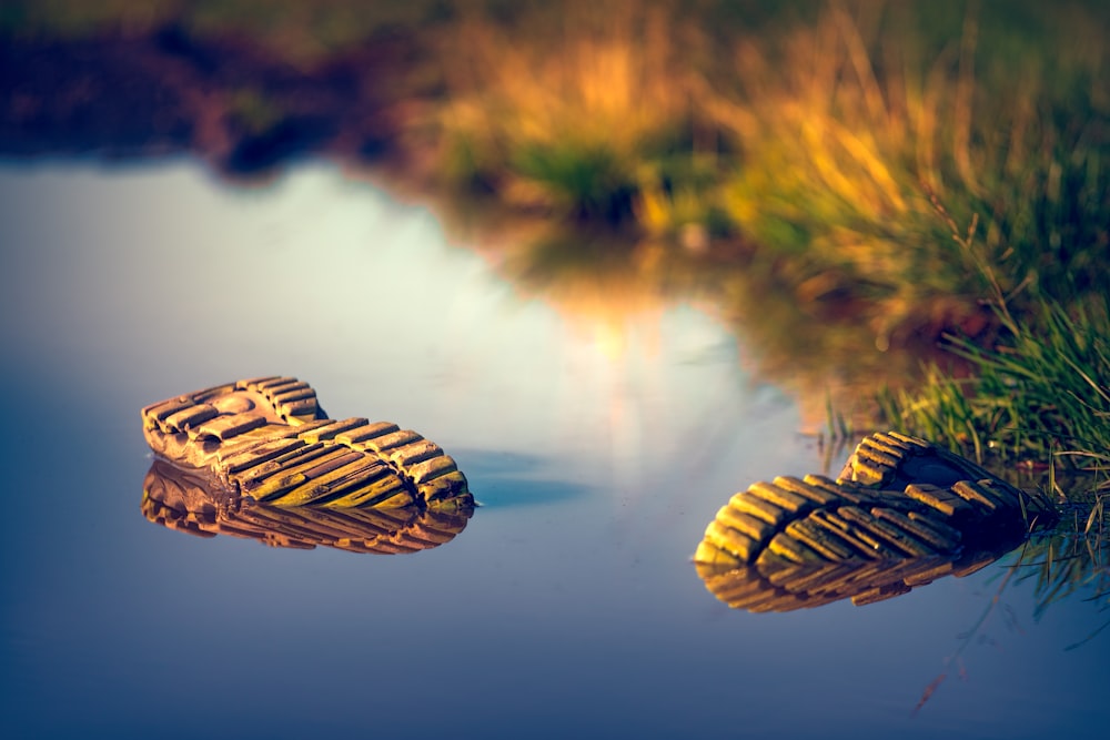 two pair of shoes in body of water
