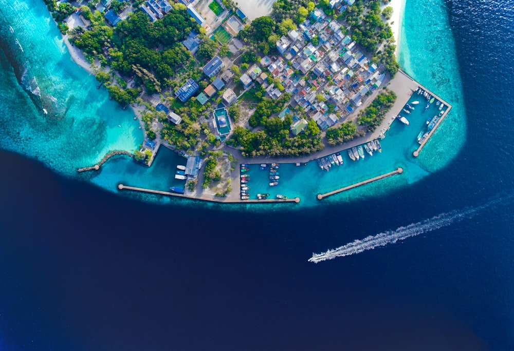 aerial photo of houses in island