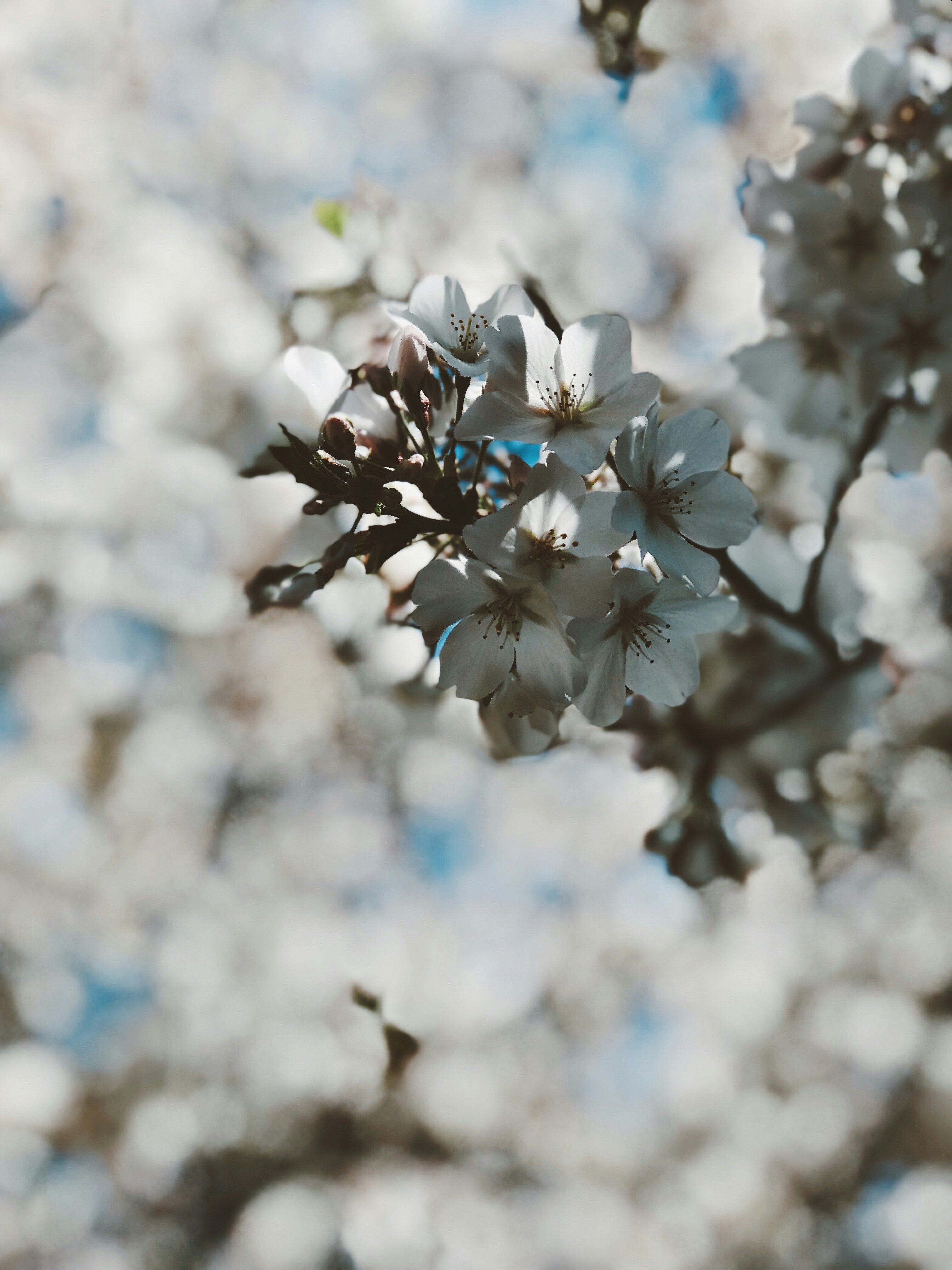 Photo by hannahcreid