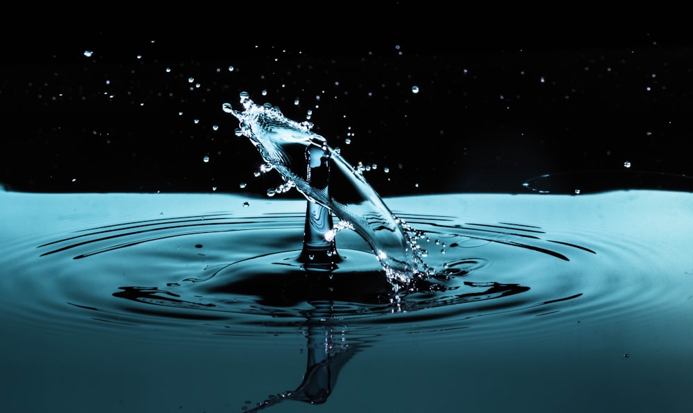 Wassertropfen Pictures | Download Free Images on Unsplash
