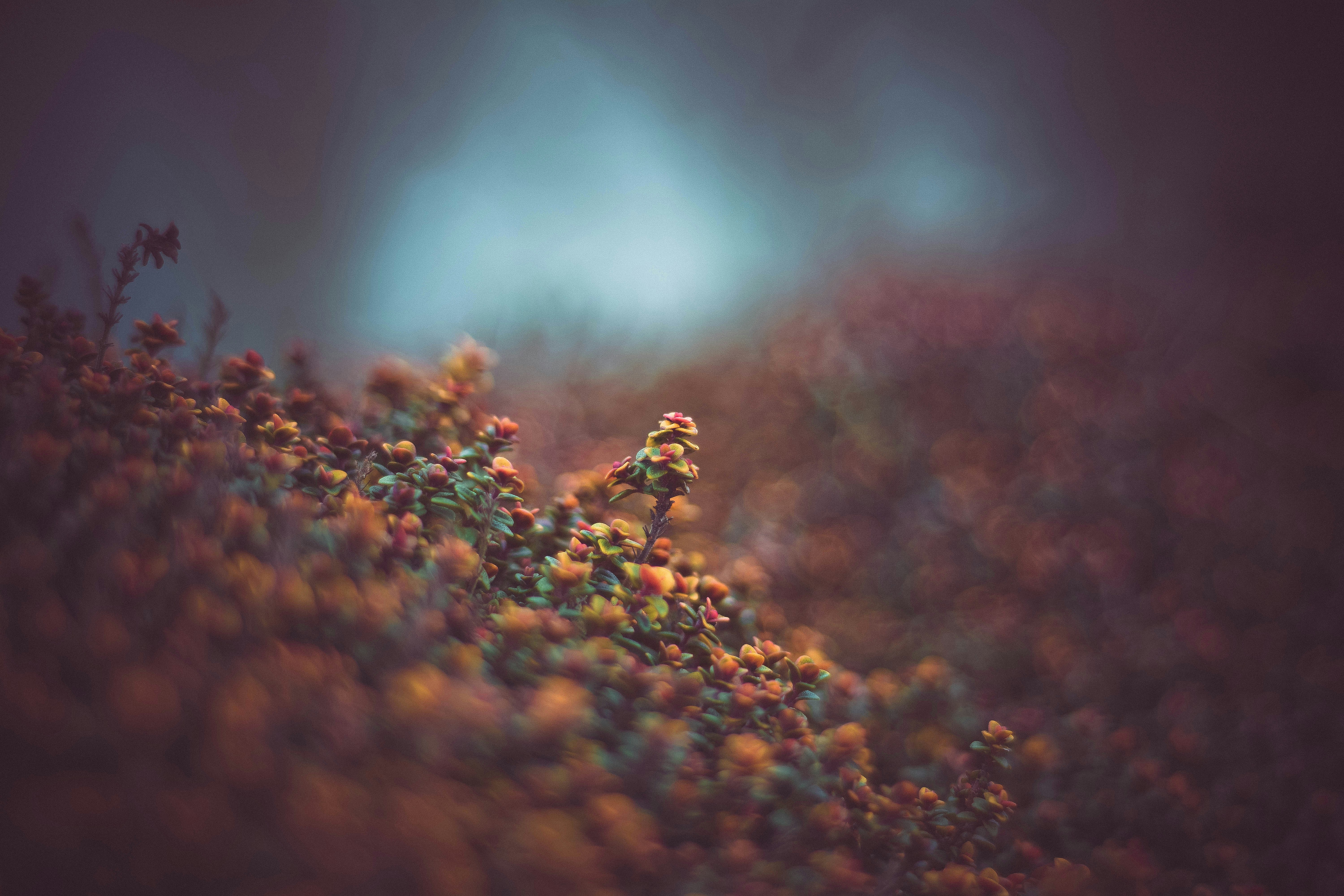 Photo by sindystrife