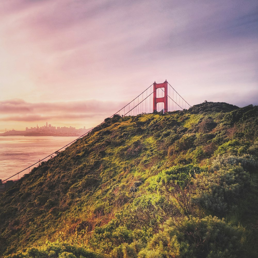 landscape photography of suspension bridge