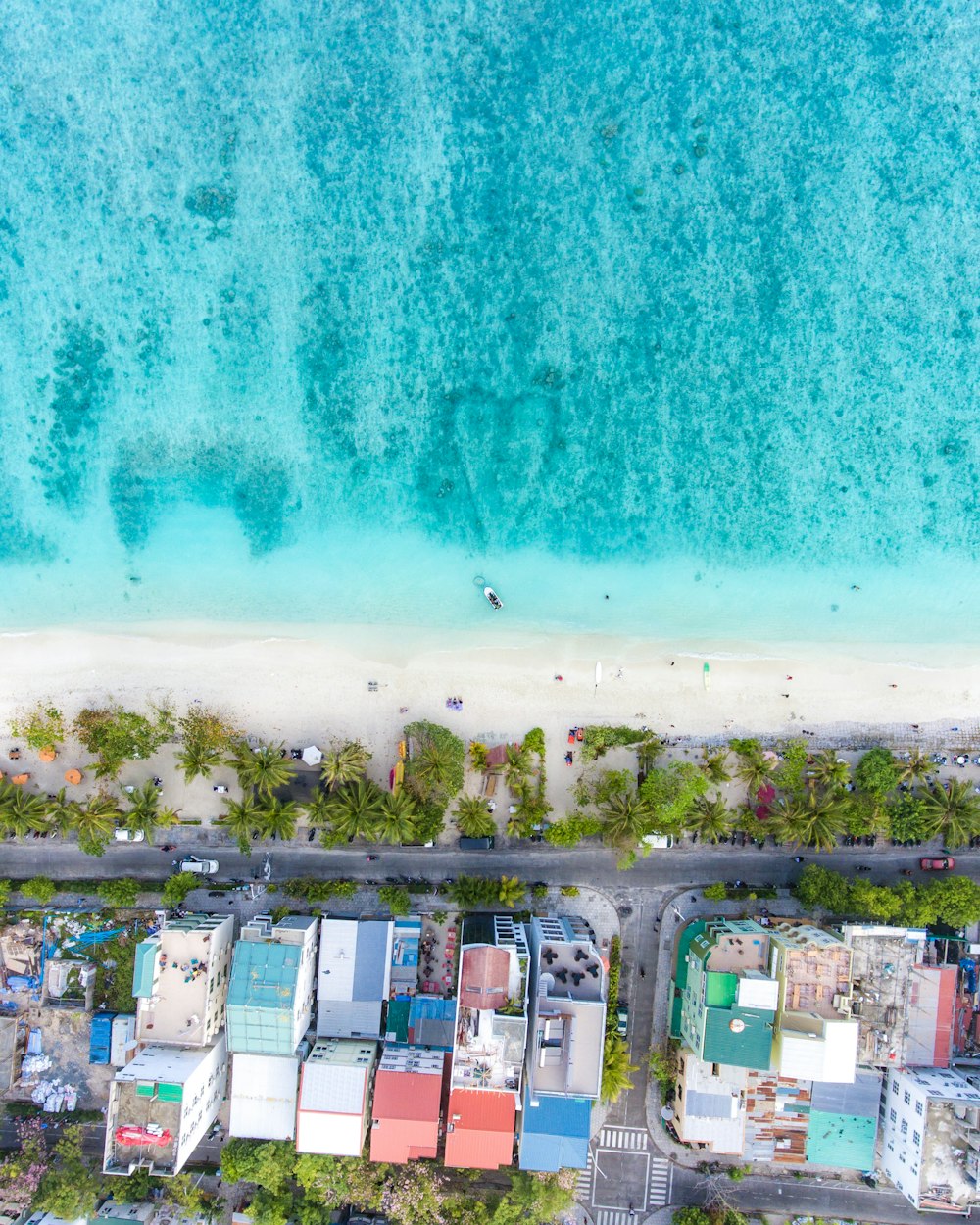 aerial view of coastal area with buildings