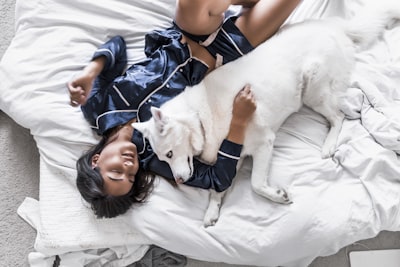 woman lying on bed with white siberian husky sleepy google meet background