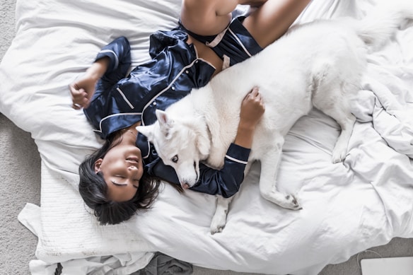 A person wearing dark blue silk pajamas is lying on a bed covered with white sheets, cuddling with a large white dog. The person appears relaxed and at ease, and the dog looks calm and content. The surrounding environment includes a portion of a white cushion and an unmade bed.
