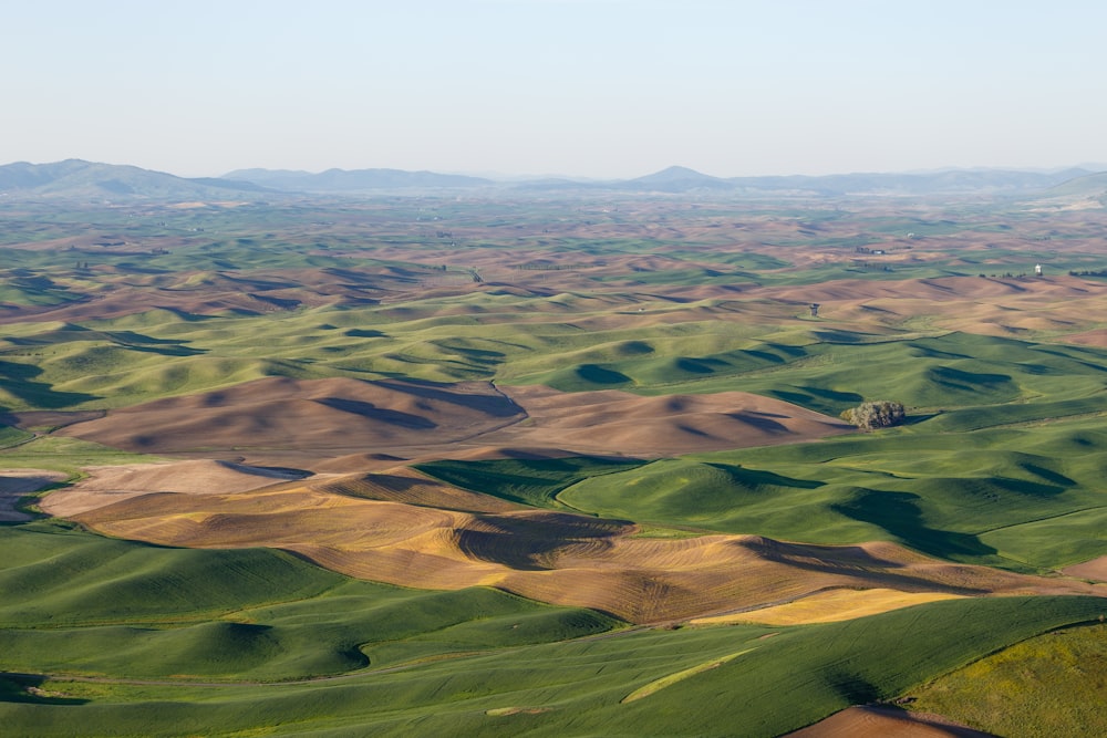 aerial view of green and brown field