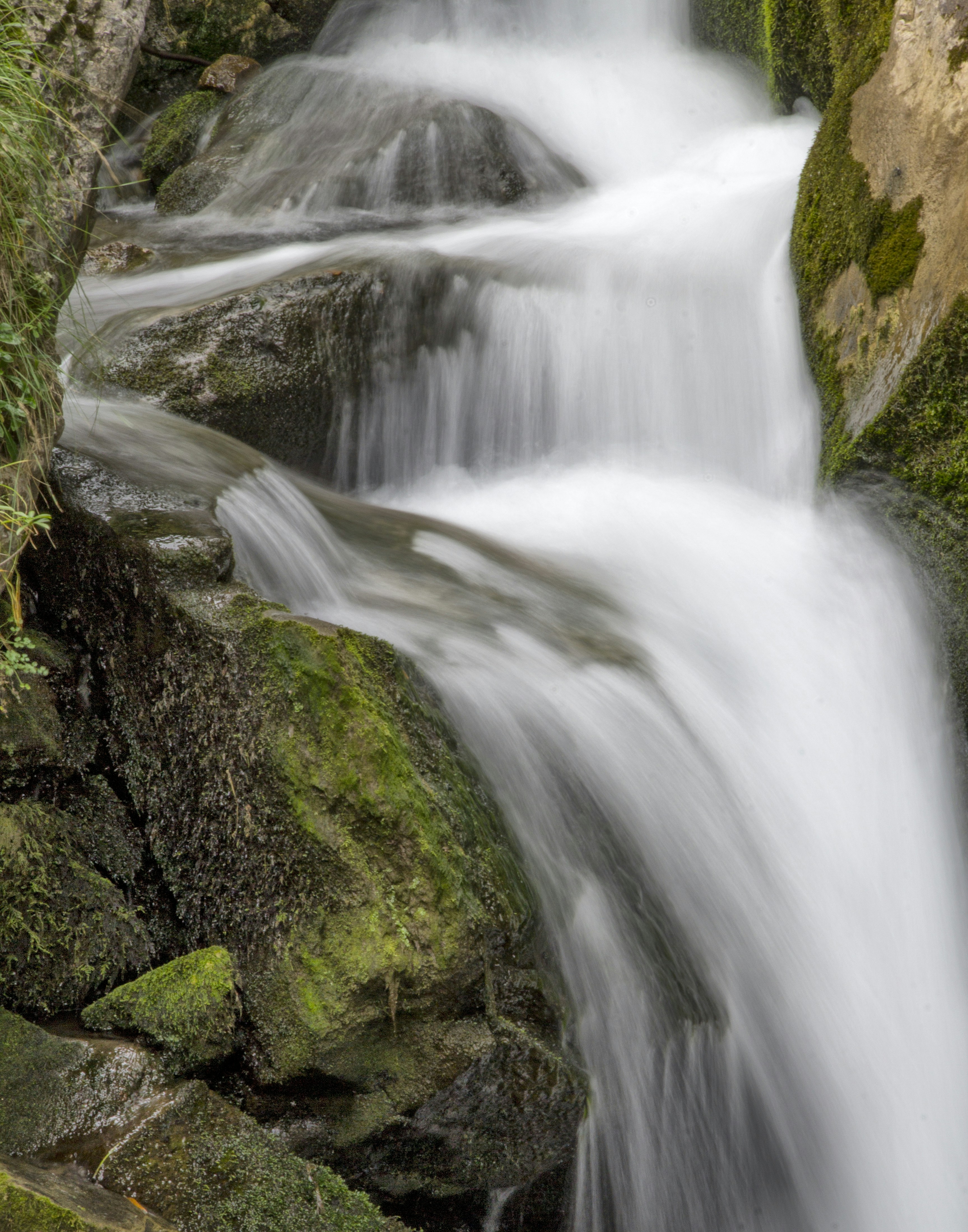 Photo by guillermoalvarez