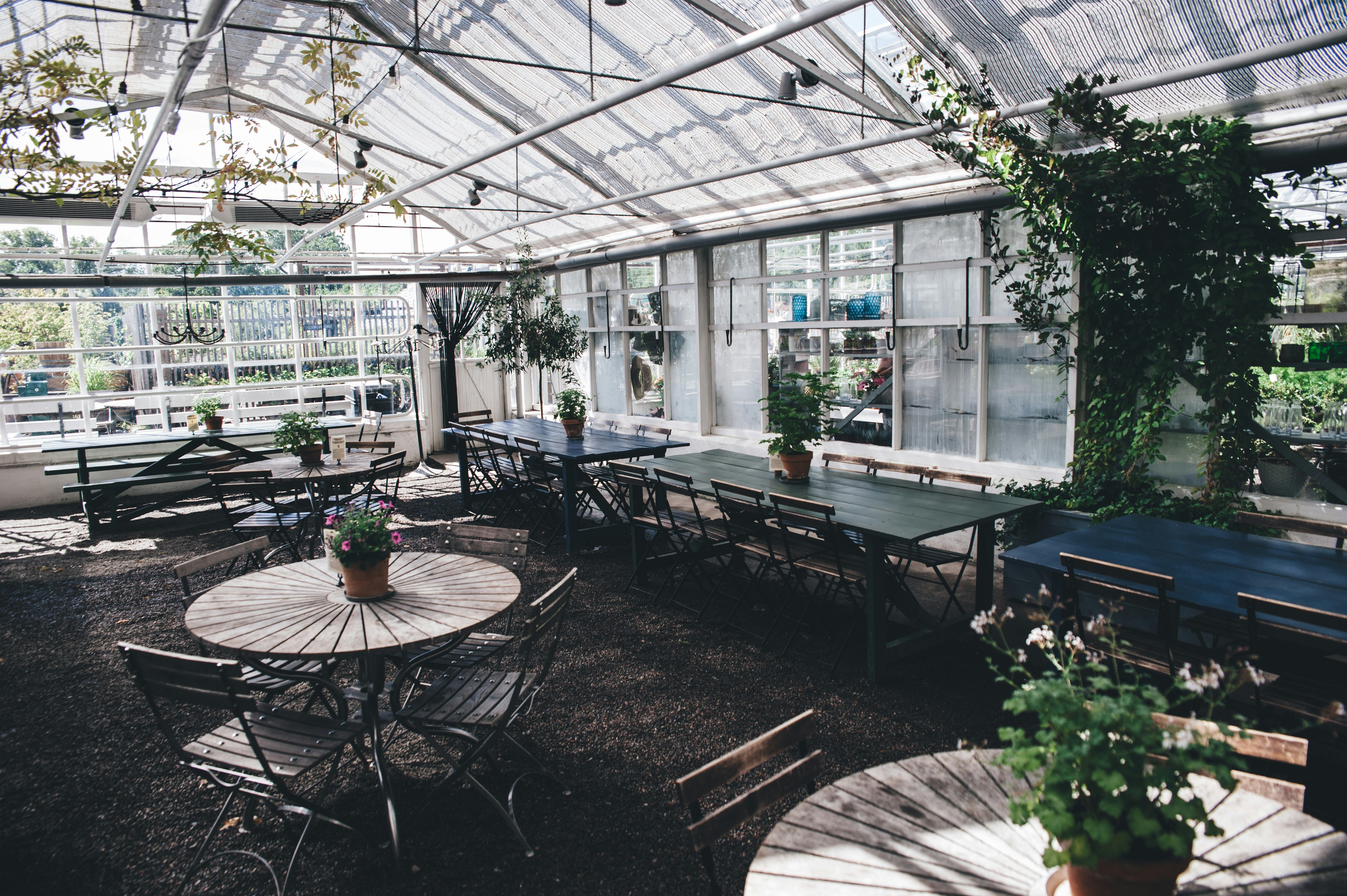 Photo by elviravisser