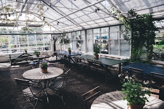 A greenhouse interior with several wooden tables and chairs arranged on a stone floor. The space is brightened by natural light streaming in through large glass windows. Various potted plants adorn the tables and walls, creating a fresh and lively atmosphere. Greenery climbs up some of the interior structures, adding to the organic and tranquil setting.