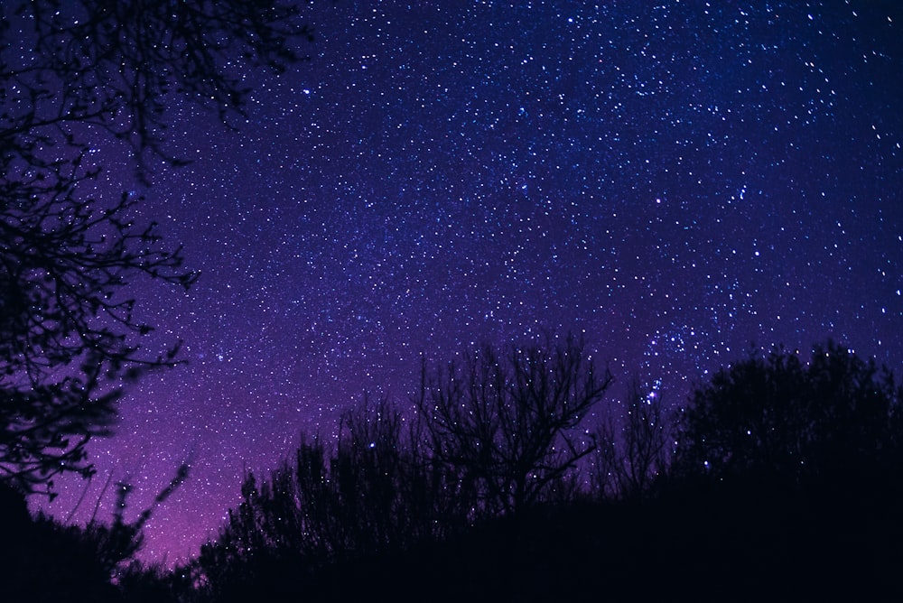 the night sky is filled with stars and trees