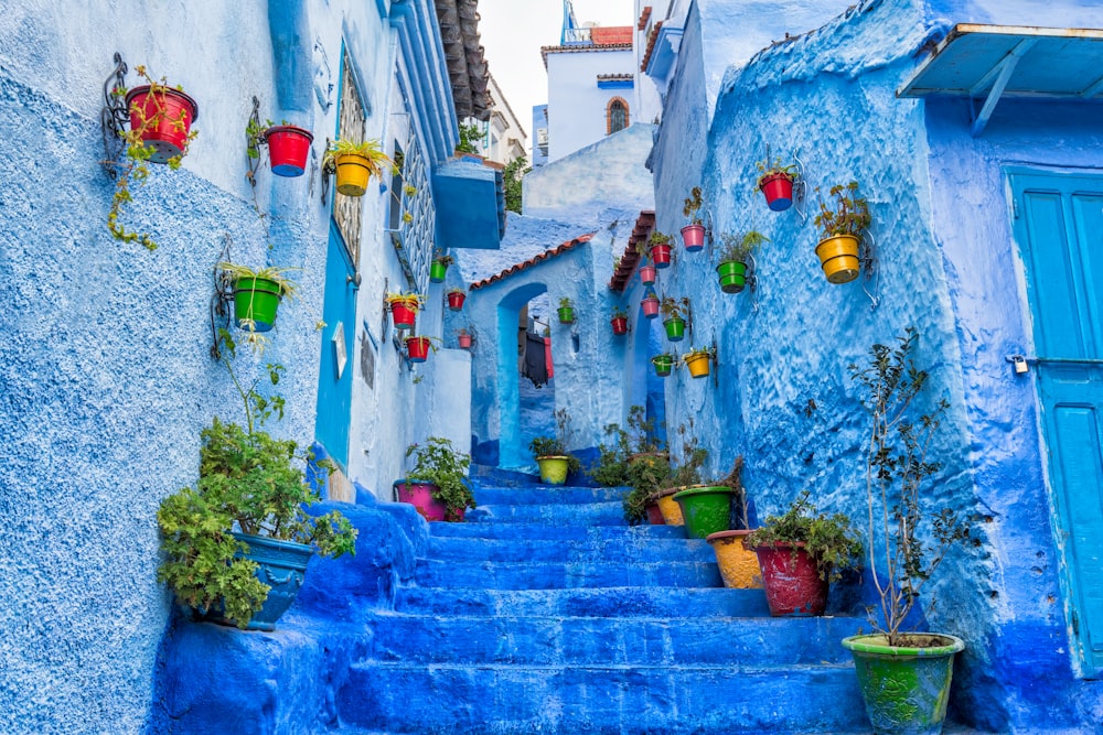 Una strada stretta con gradini blu e piante in vaso