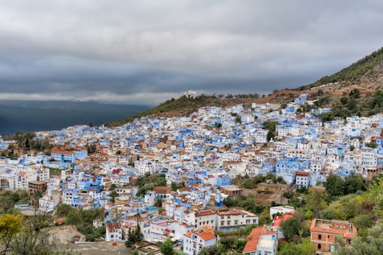 assorted-color concrete buildings during daytime in Chefchaouen Morocco