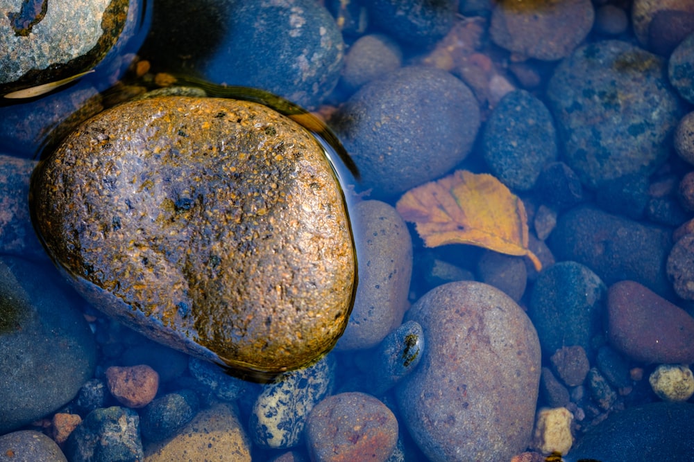 stones under body of water