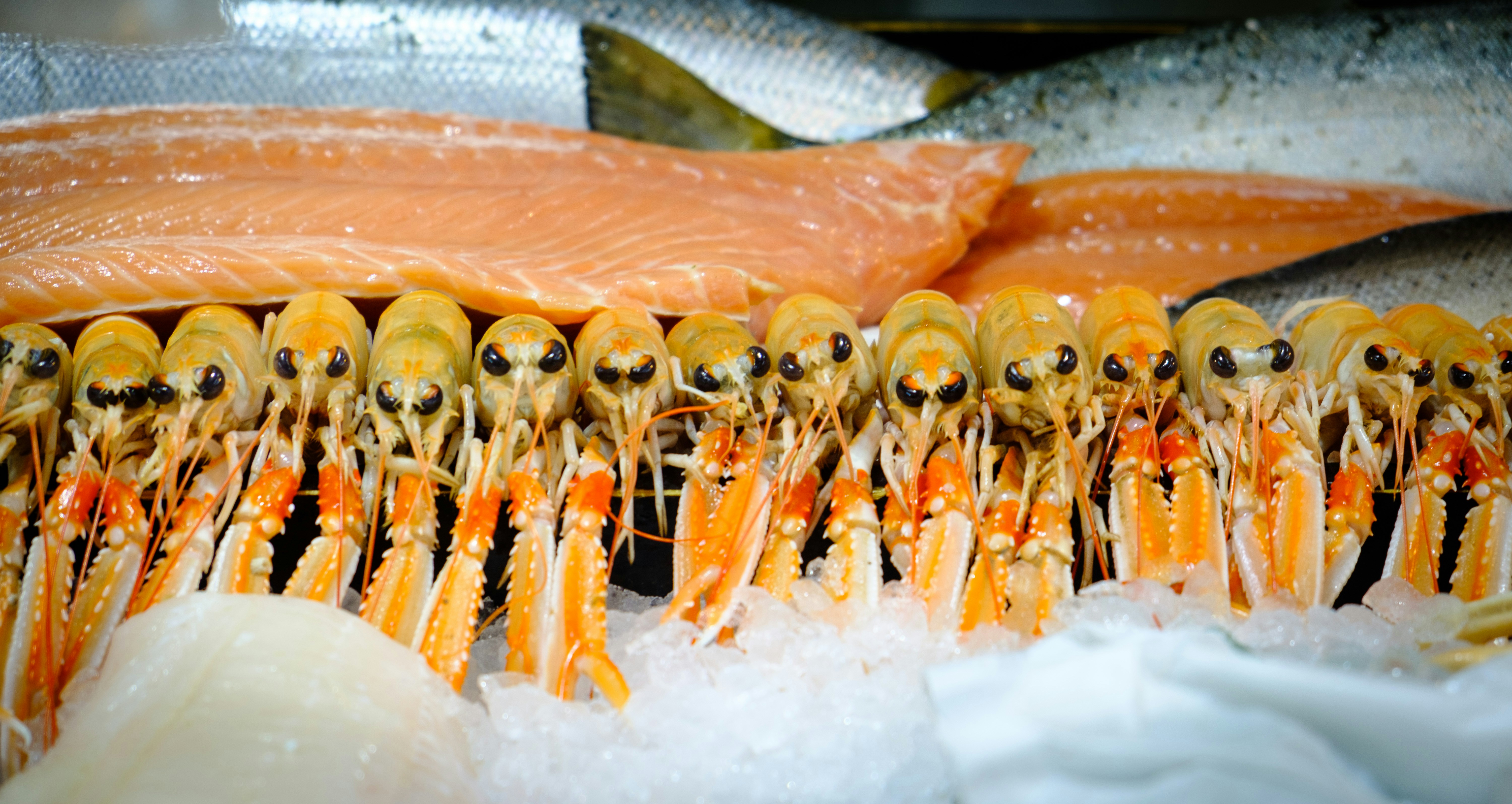 Sustainable Seafood Subscription Service