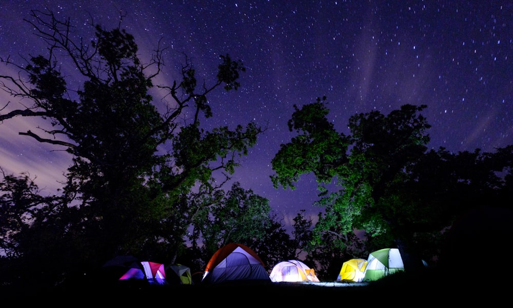 camping tents surrounded by trees