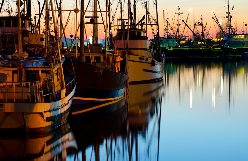 parked ships near dock