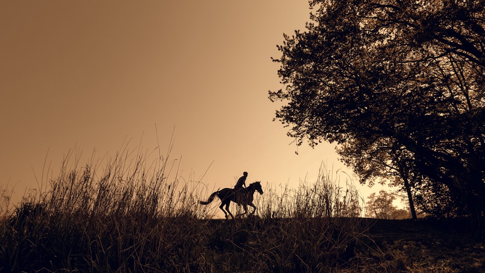 silhouette of person riding horse