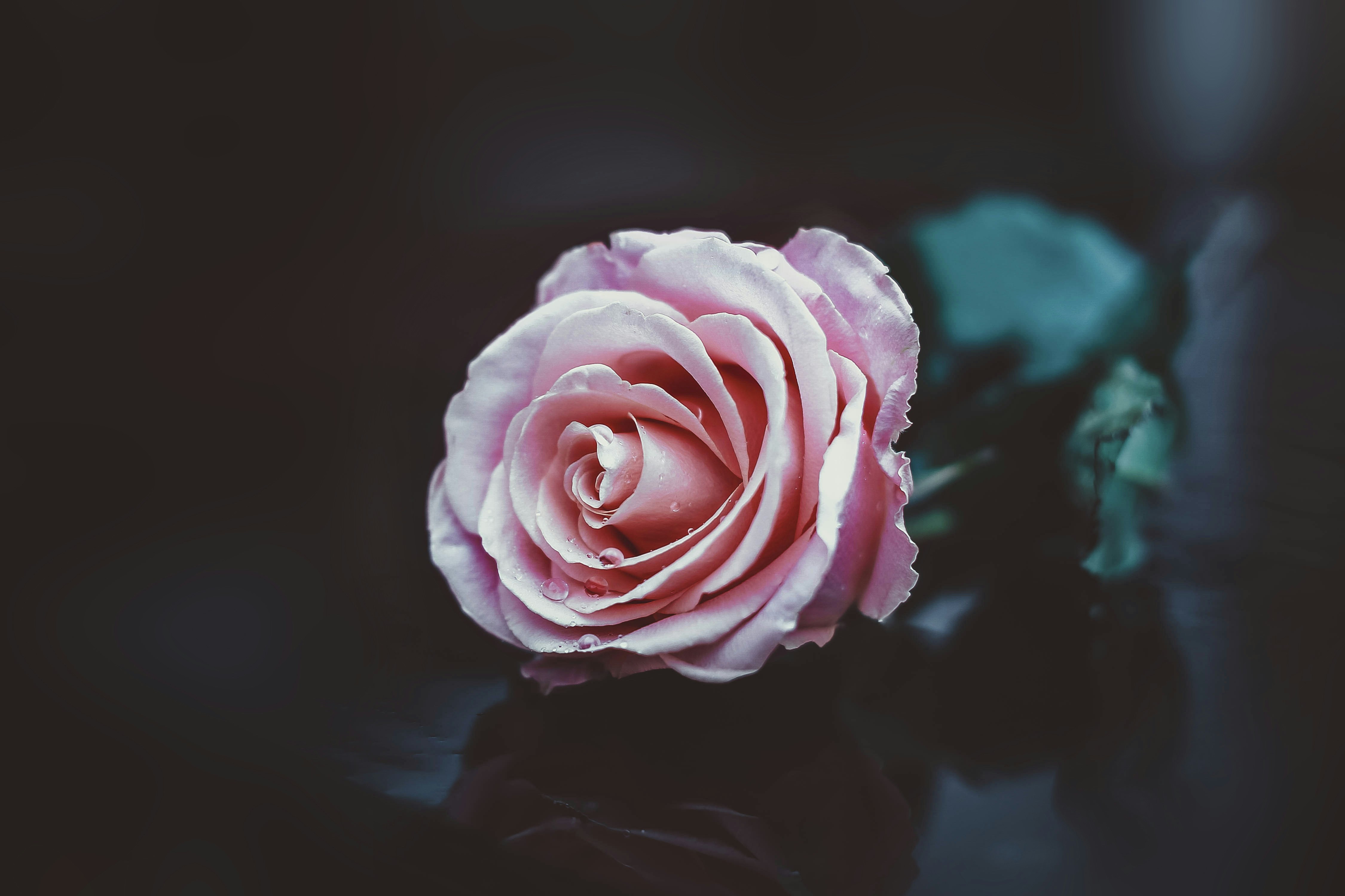 Photo by sindystrife