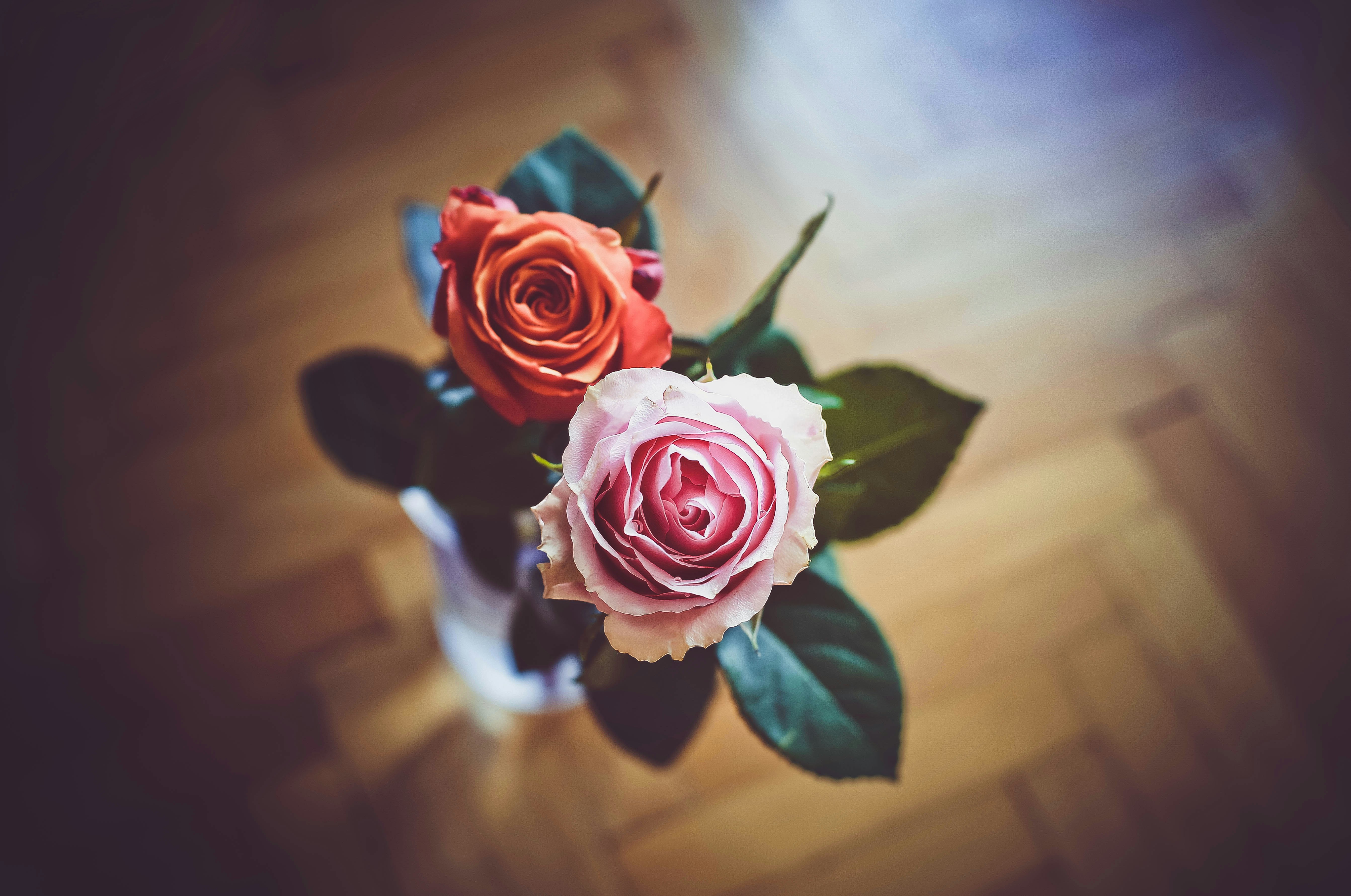 Photo by sindystrife