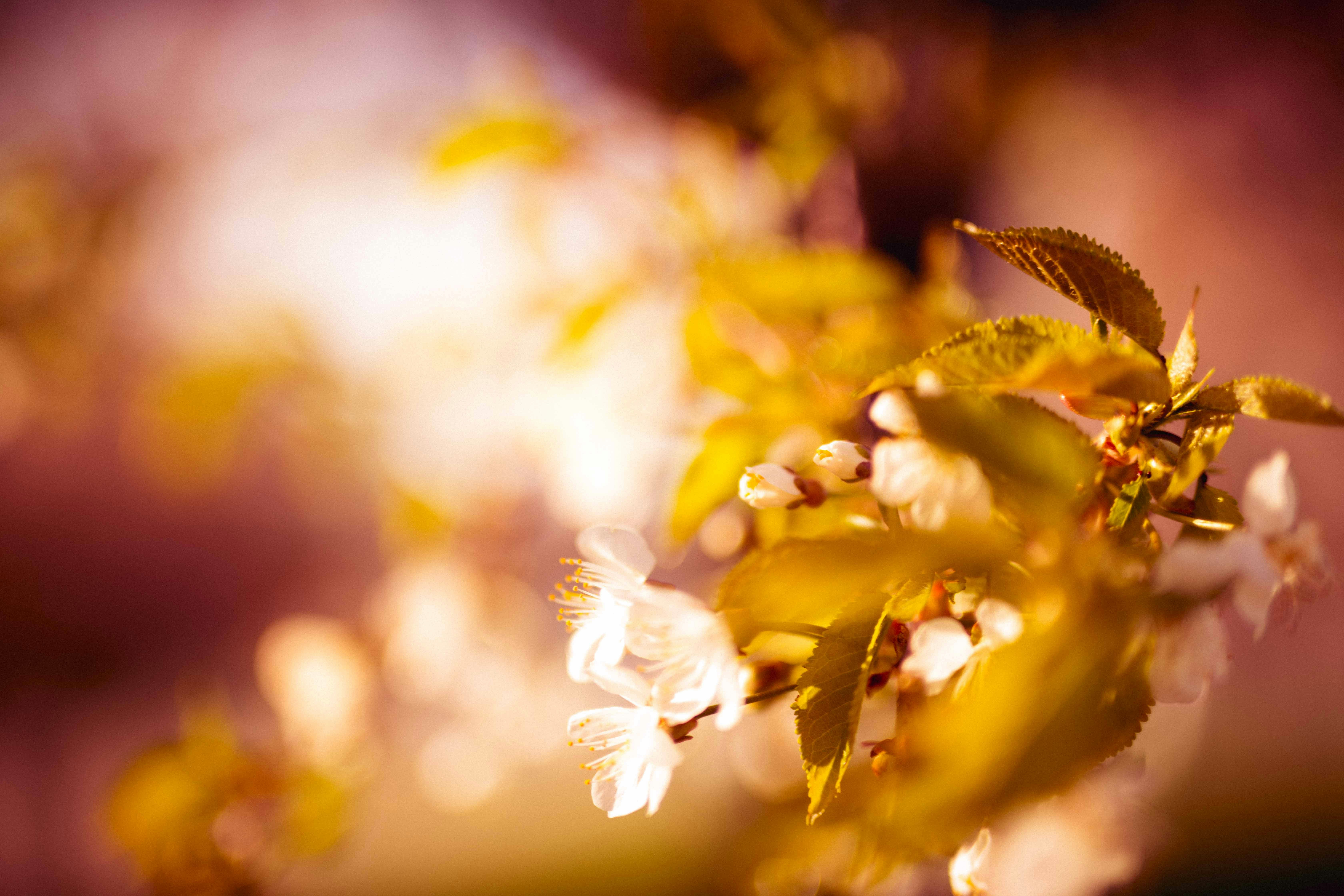 Photo by mehappypatel