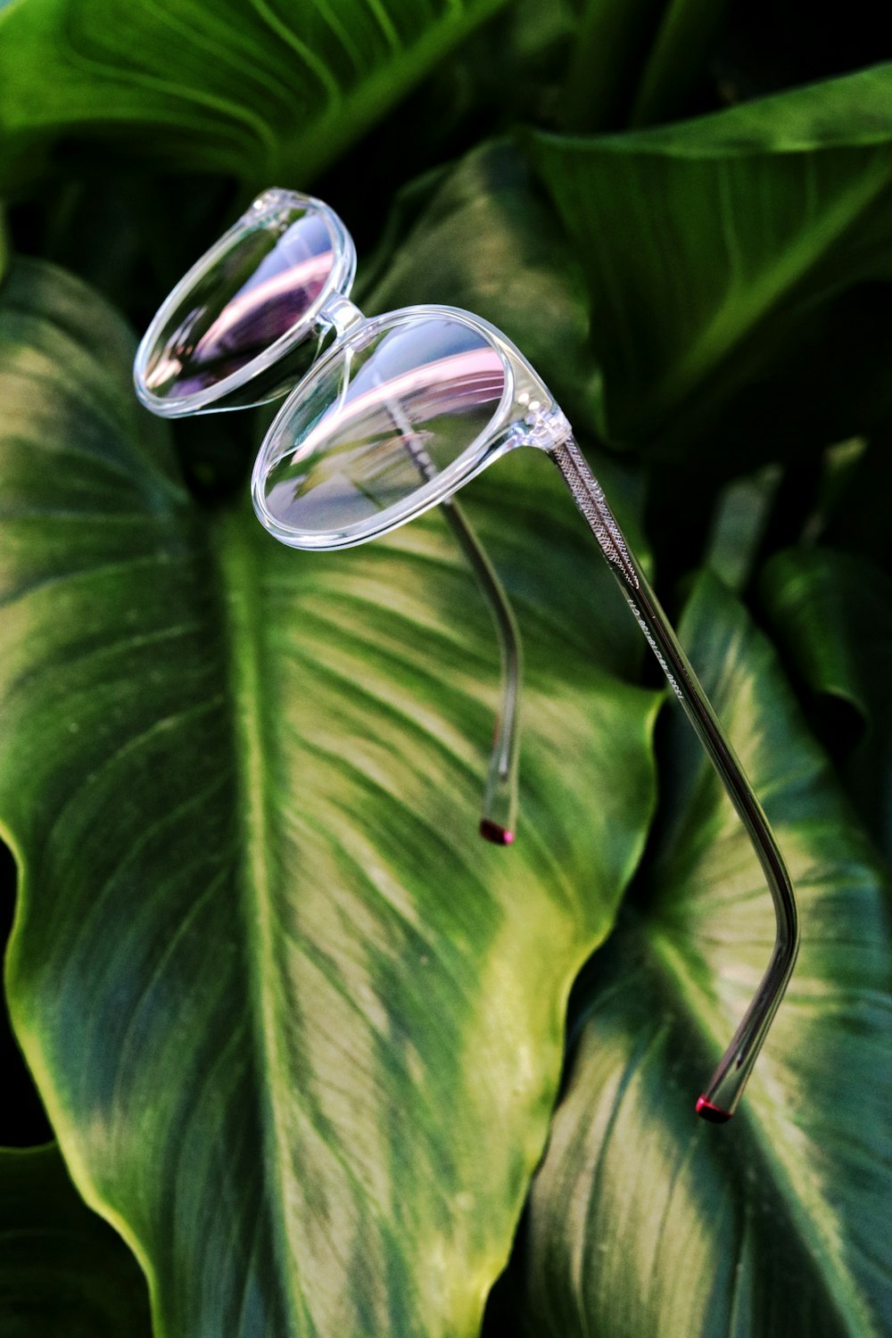 óculos de sol transparentes