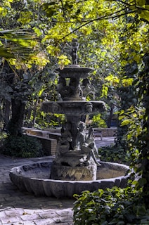 A serene water fountain surrounded by lush greenery and stones.