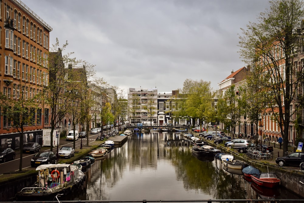 boats on body of water