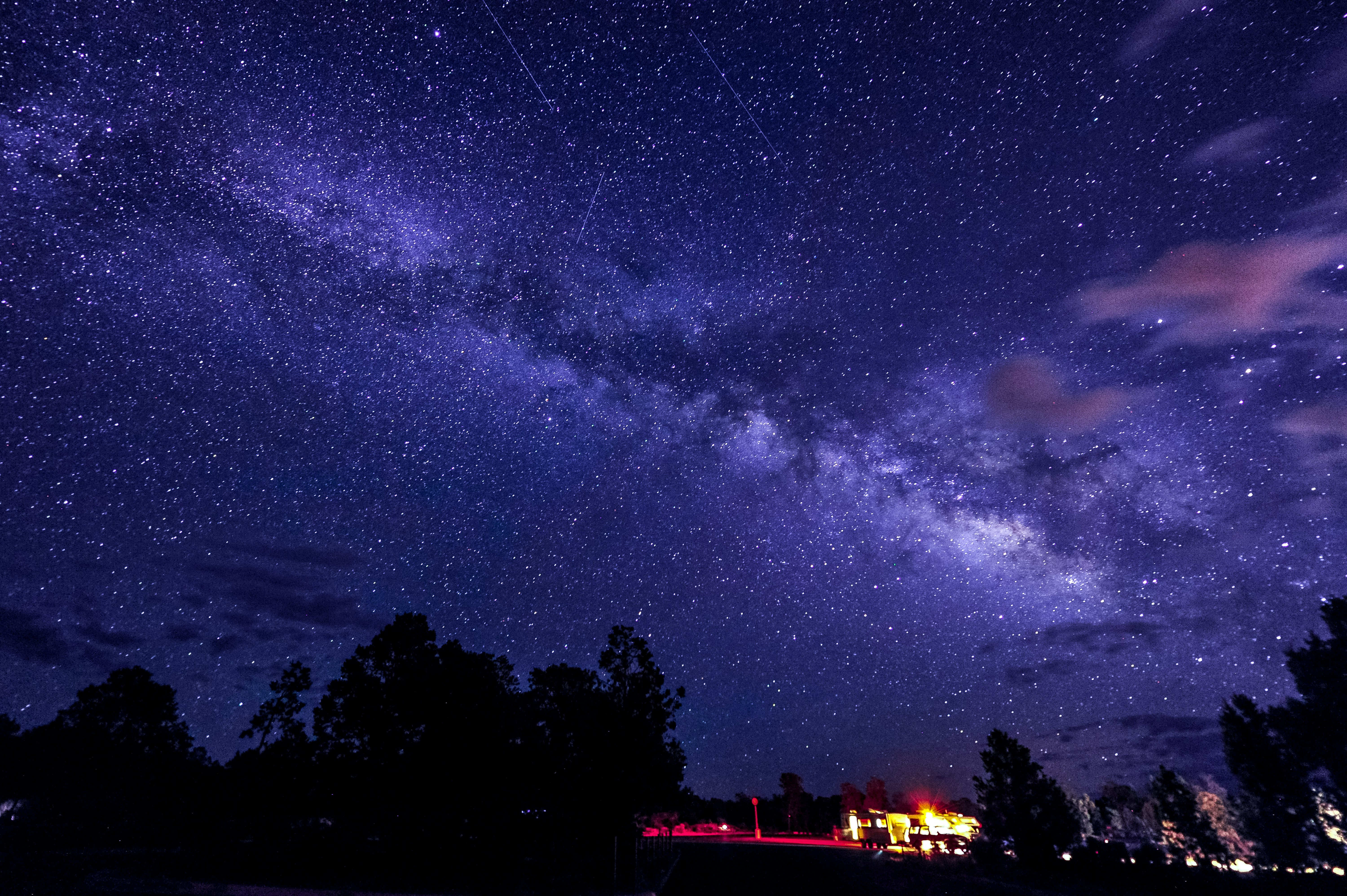 trees and lighted building under milky way