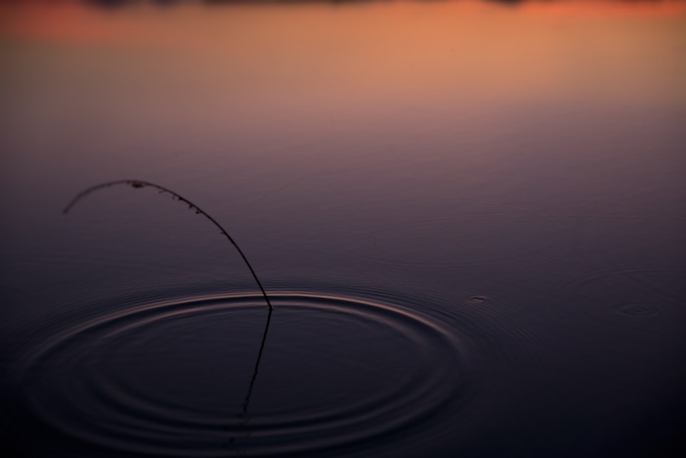 bâton noir sur plan d’eau