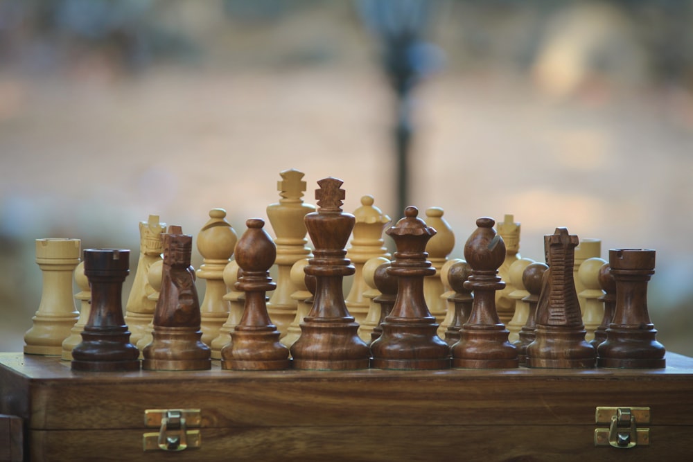 750+ Chess Pictures  Download Free Images on Unsplash