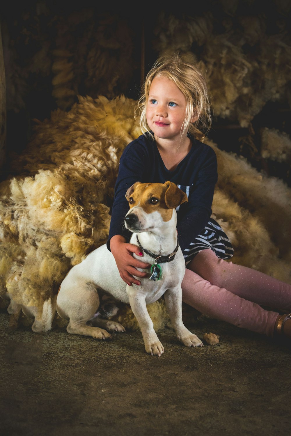 girl in blue long-sleeved shirt holding brown and white Jack Russel terrier