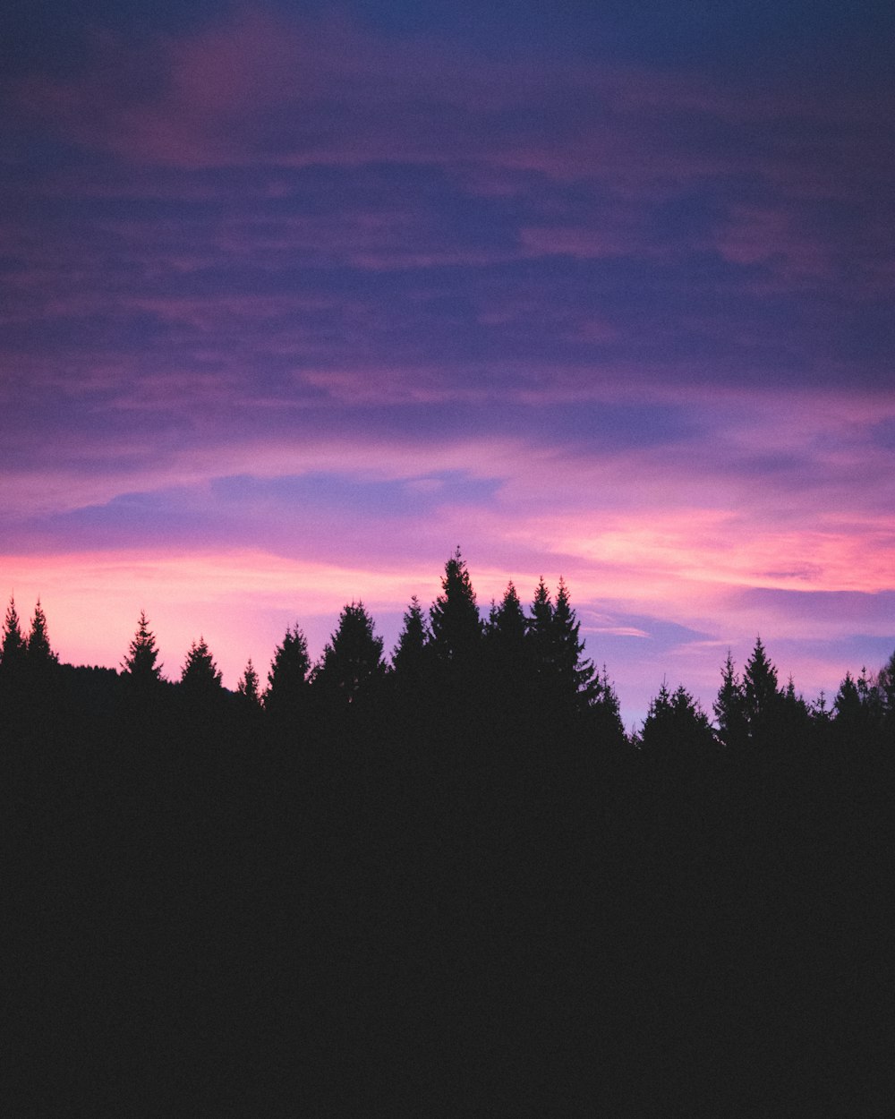 a group of trees silhouetted against a purple sky