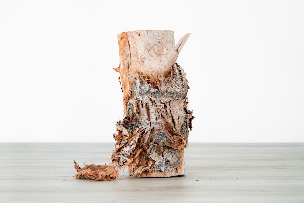 tree bark decor