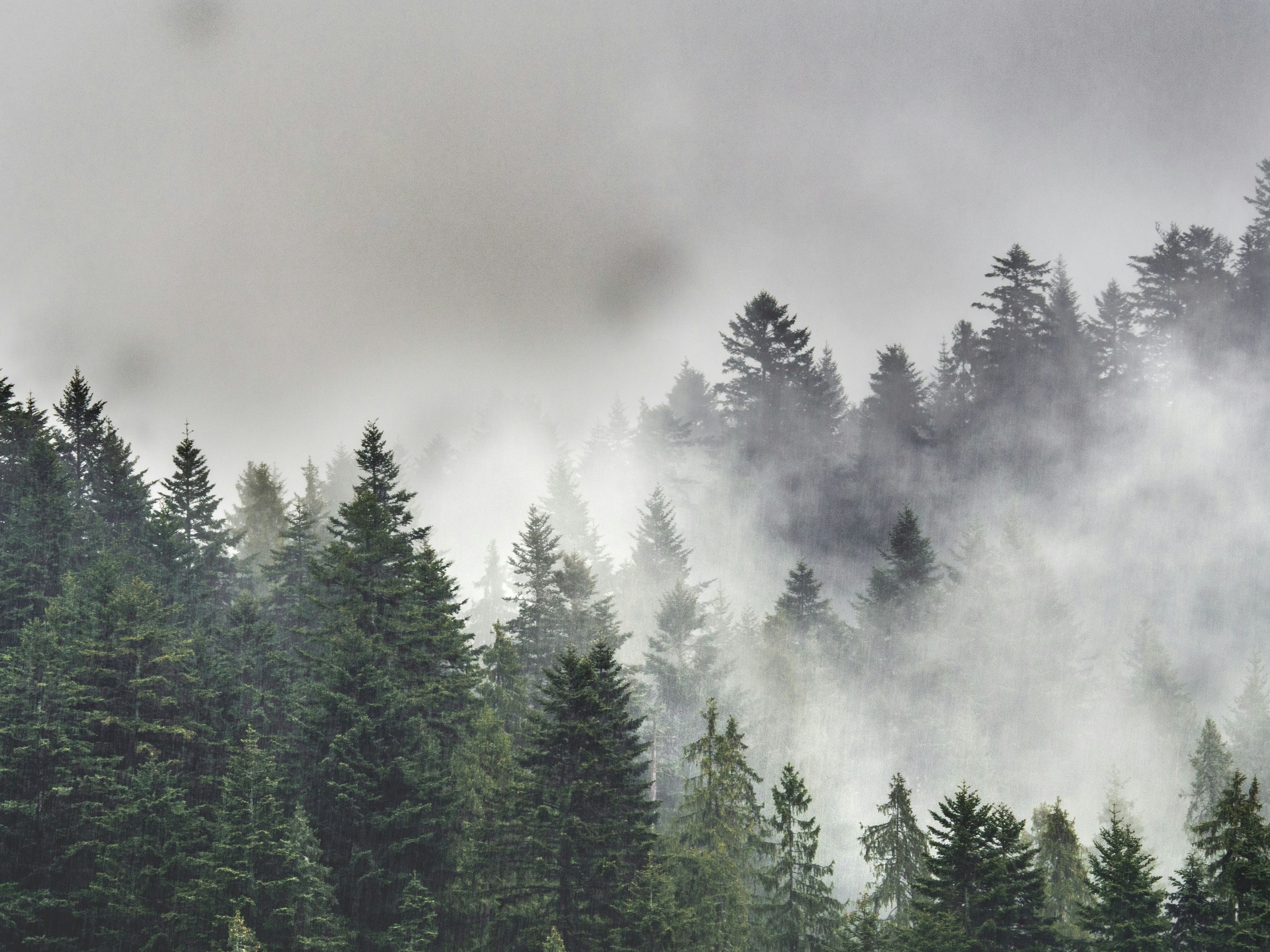 Choose from a curated selection of grey wallpapers for your mobile and desktop screens. Always free on Unsplash.