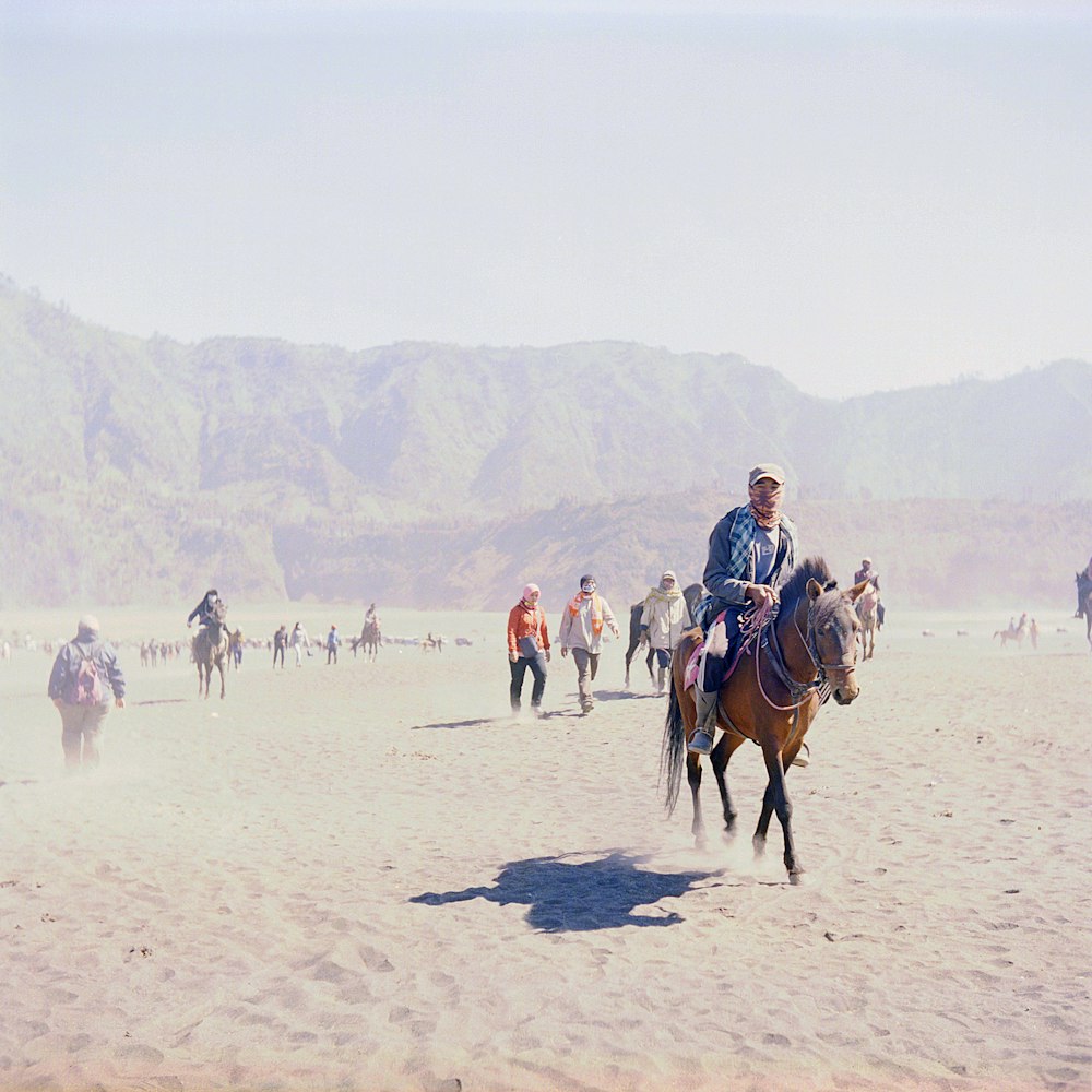 hombre montando caballo marrón durante el día