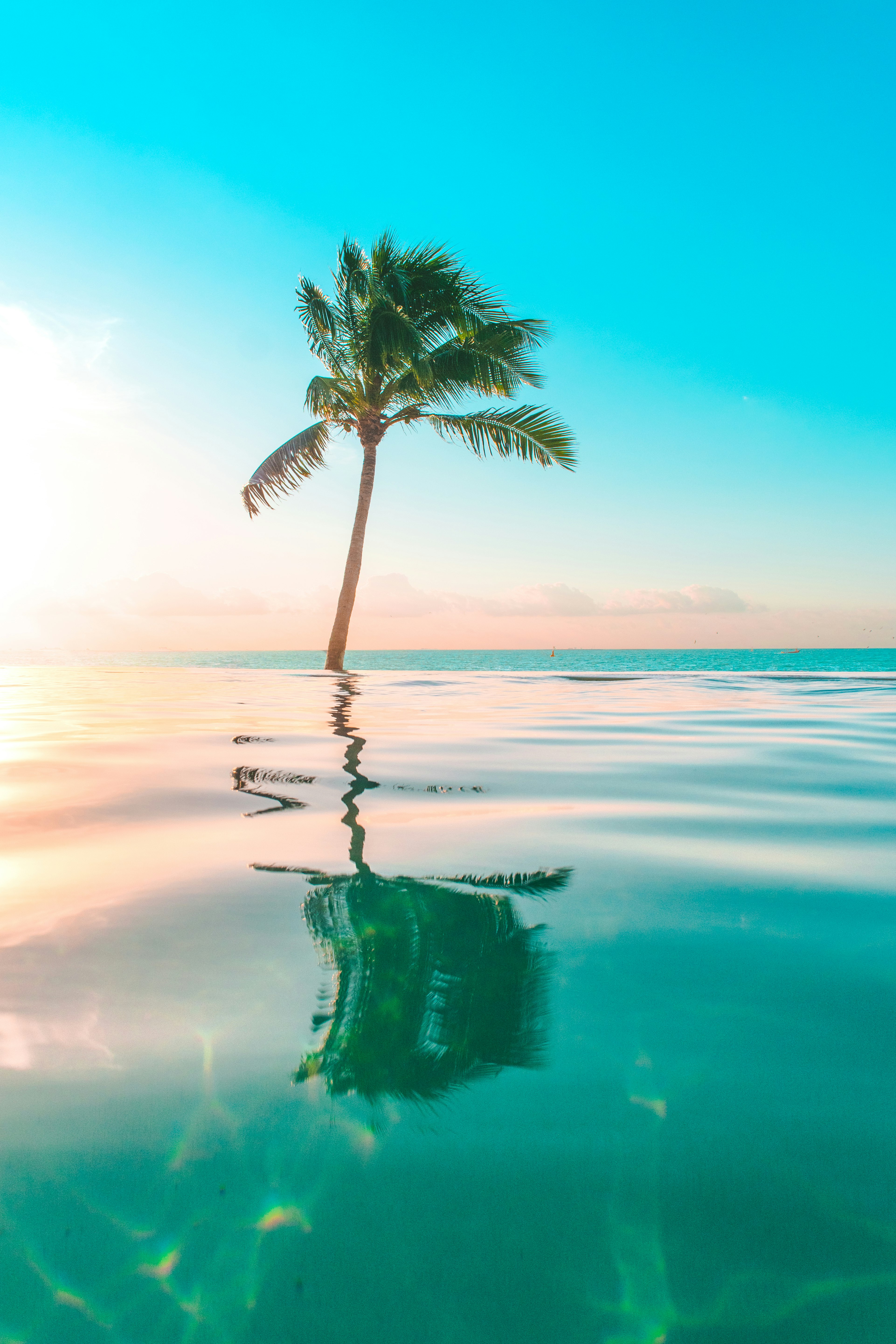 download country tropical