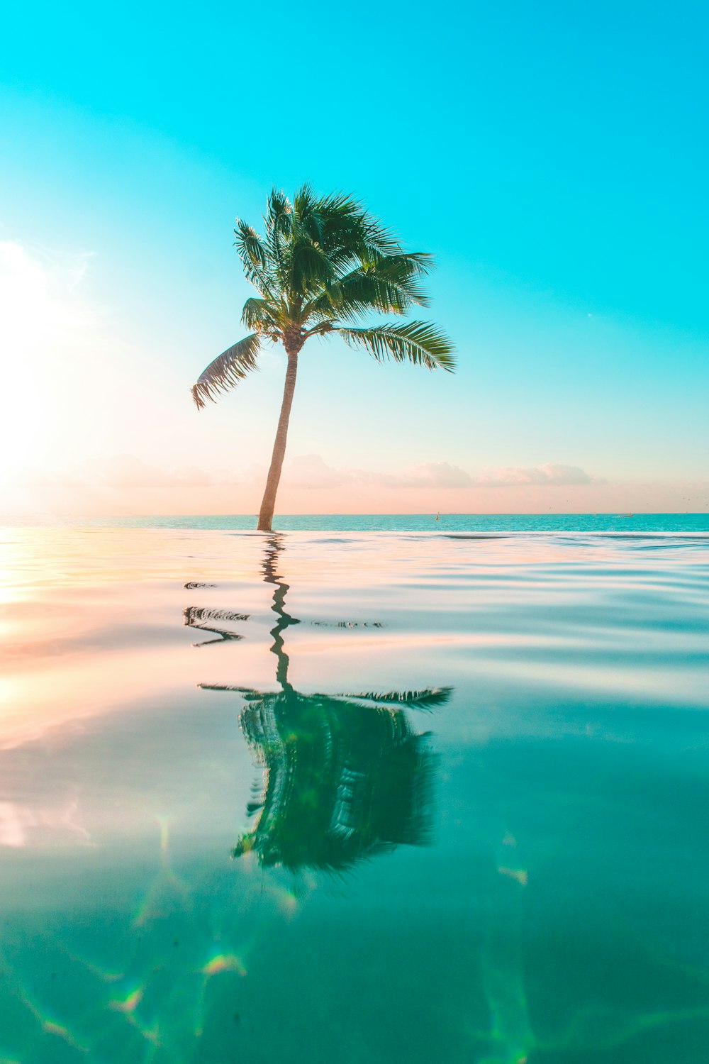 Featured image of post Aesthetic Tropical Wallpaper For Pc