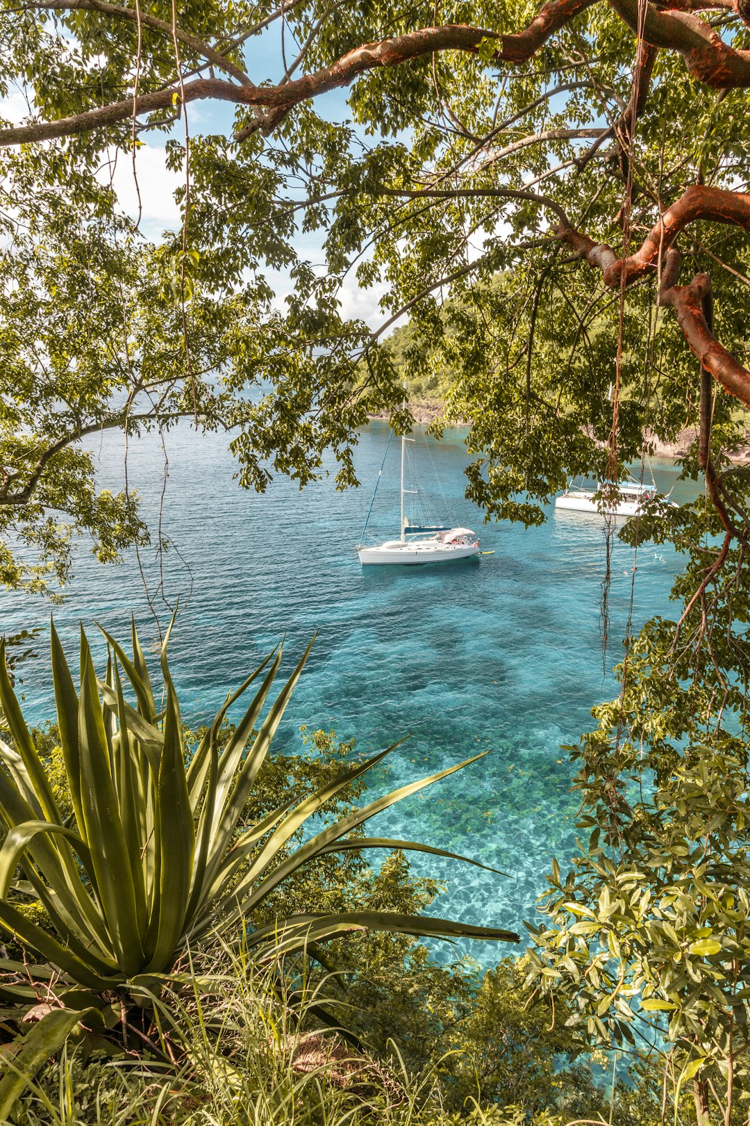 white sailboat in ocean