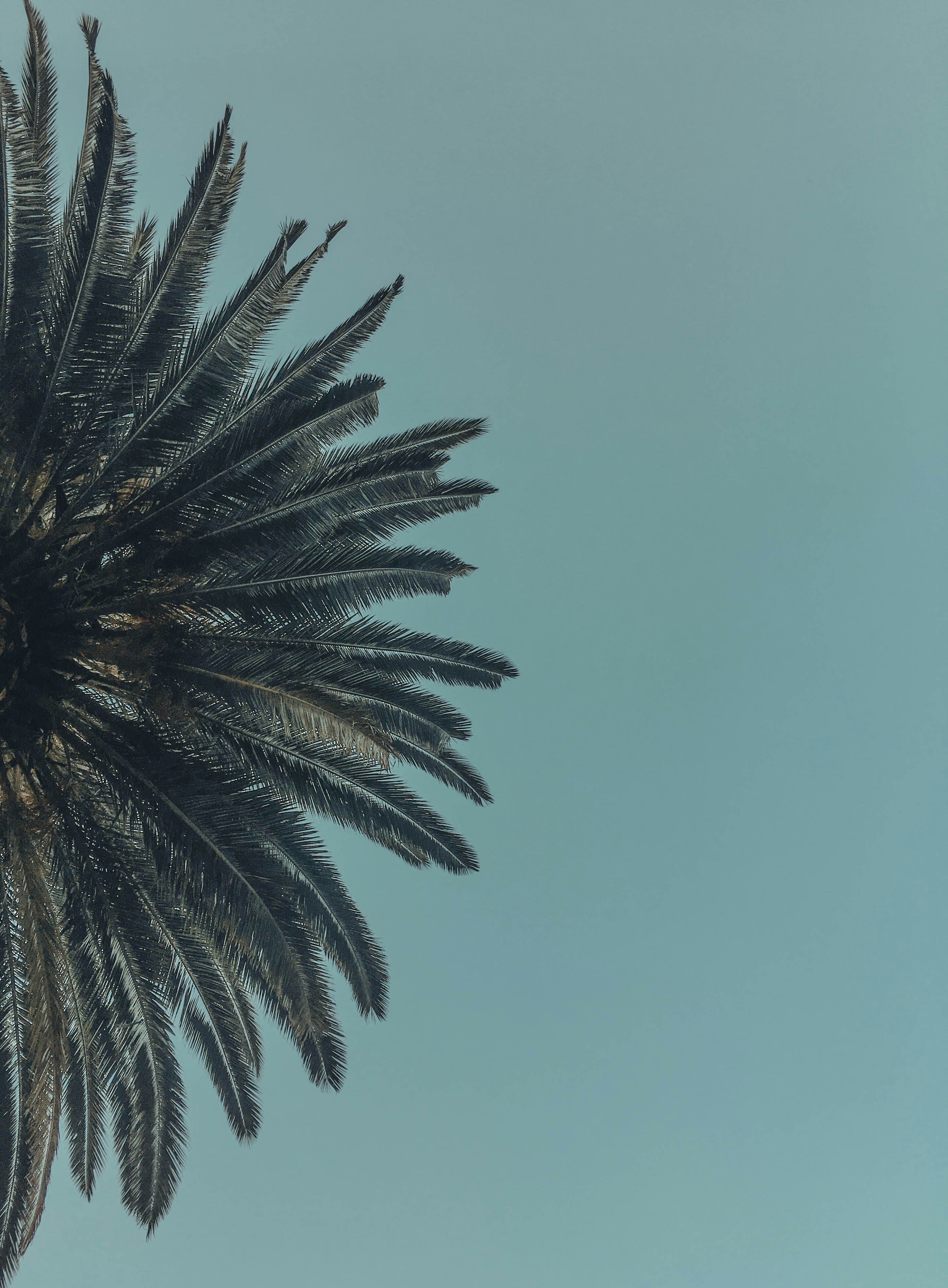 Photo by megan_youde