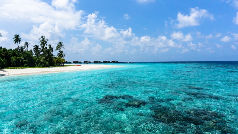 mar azul bajo nubes blancas durante el día