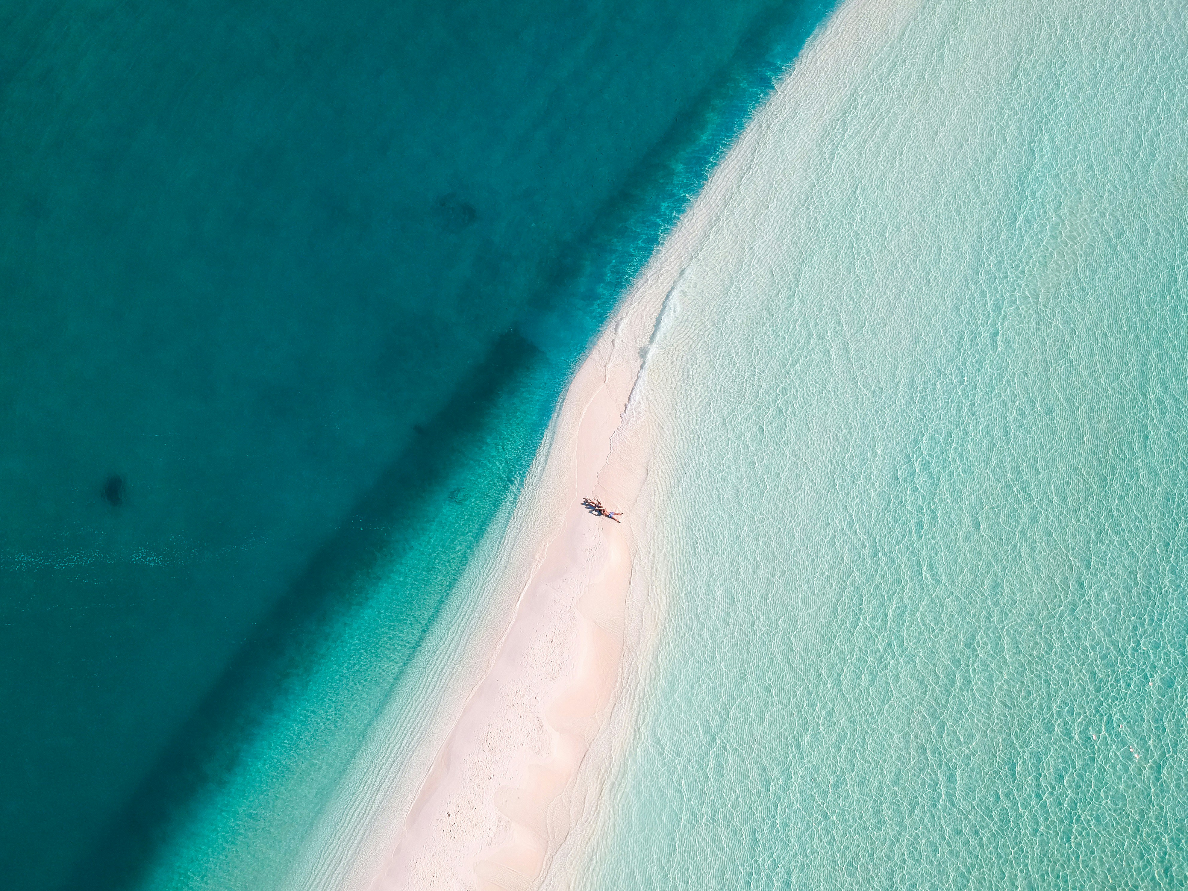 aerial photo of shore