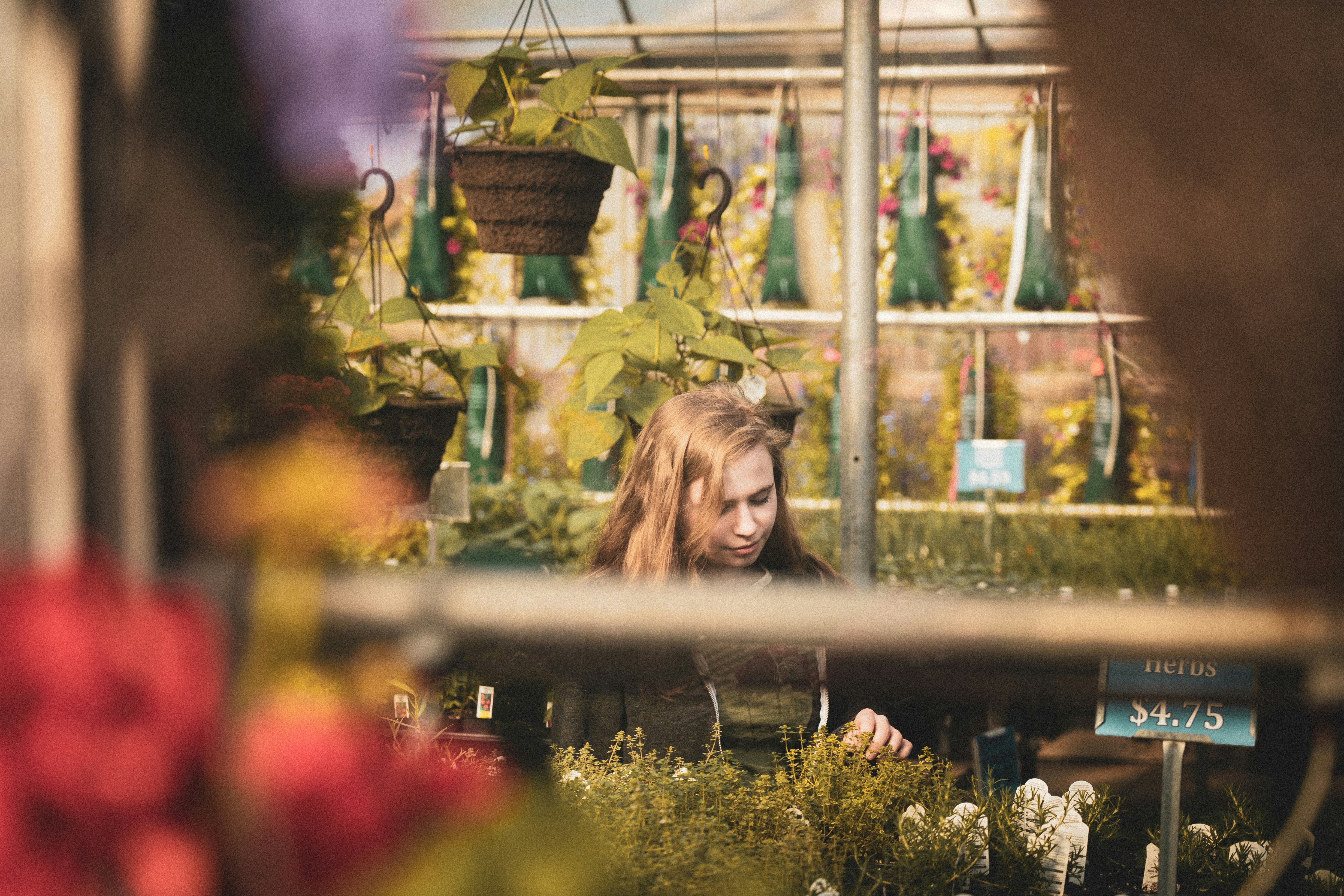 Natuurlijk Bloemen en Planten