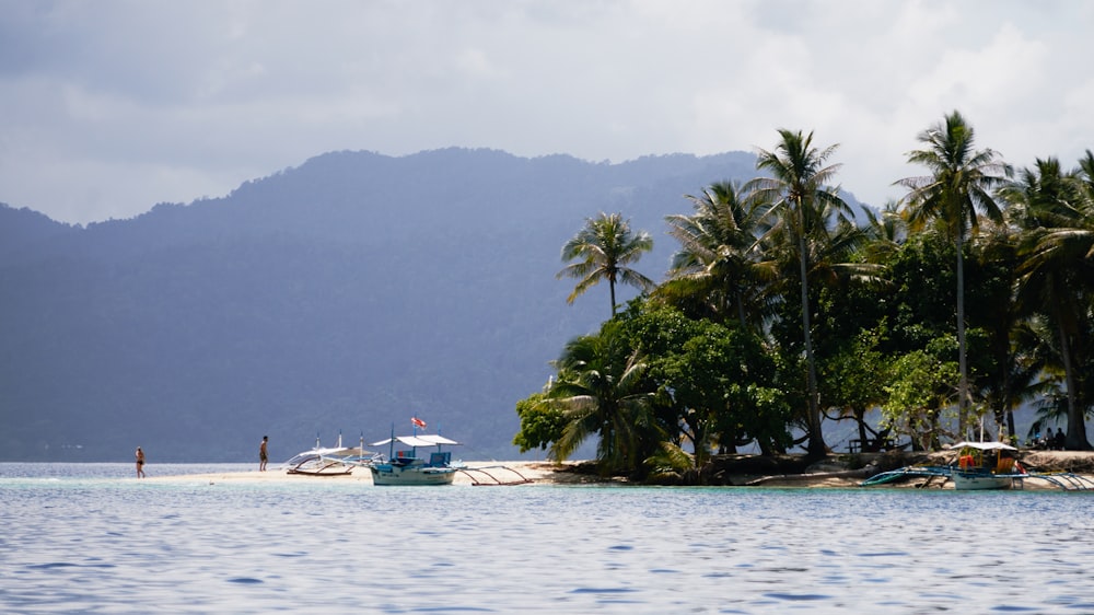 boat in ocean near island