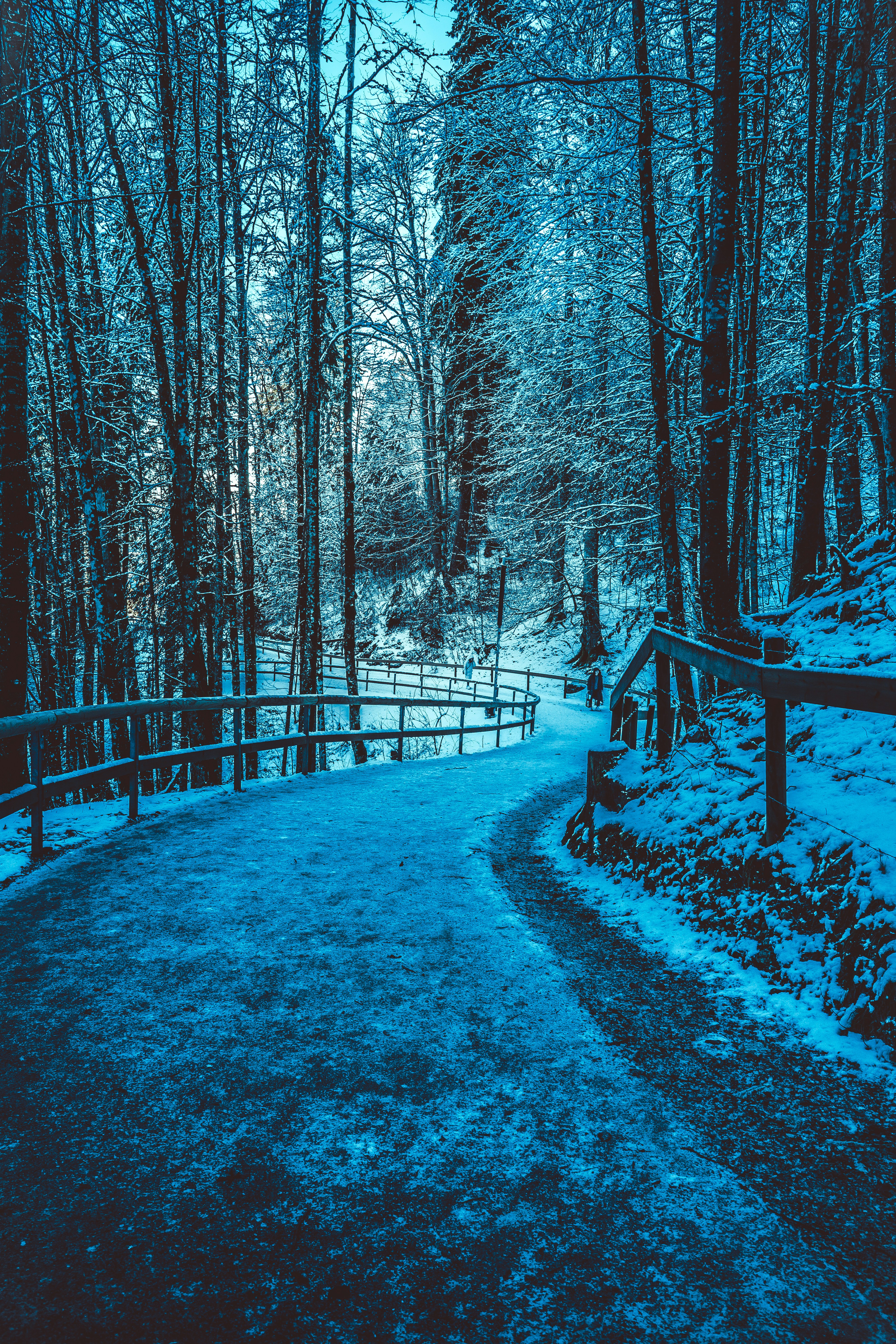 Photo by bharat_patil_photos