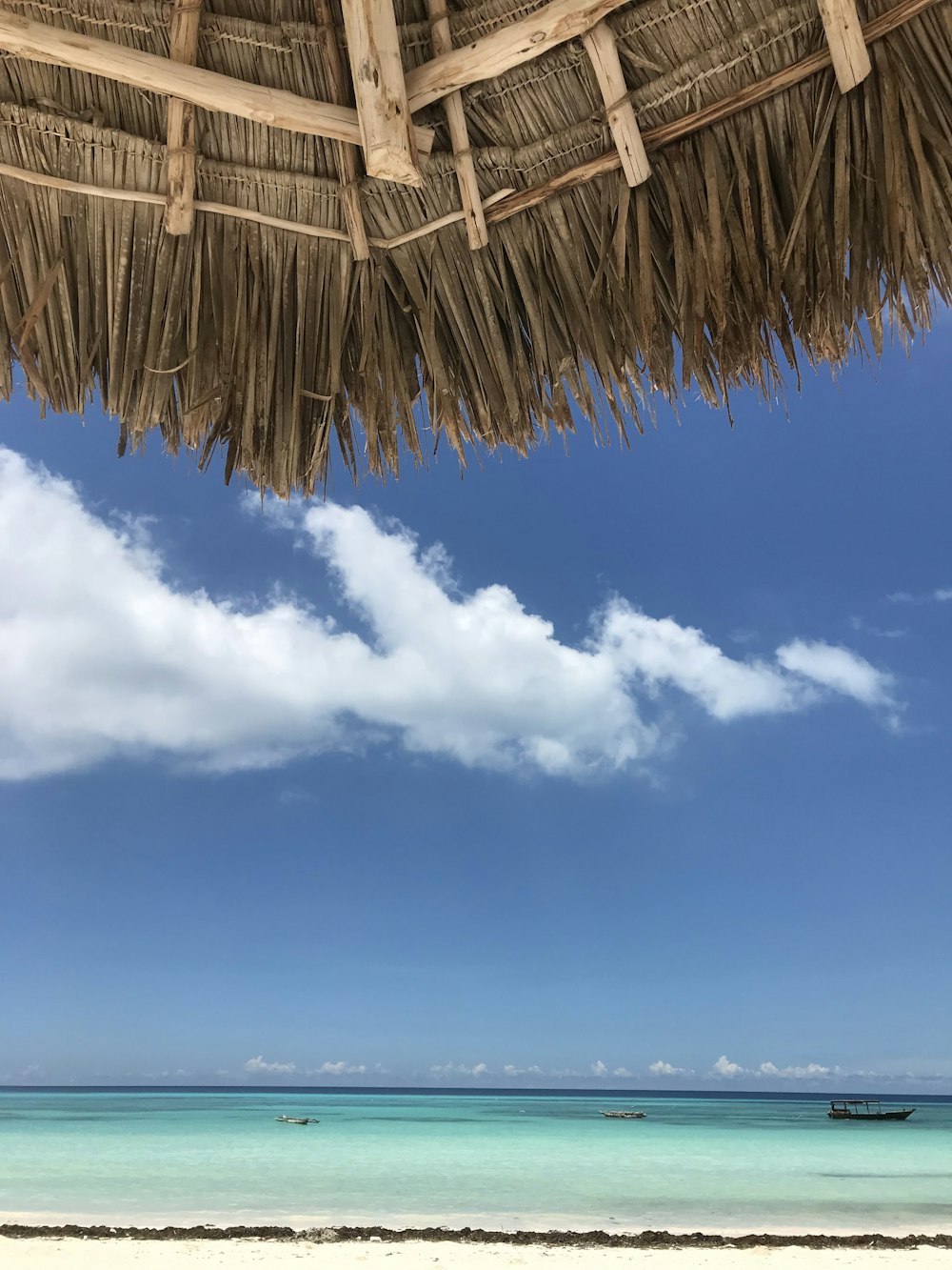 parasol in beach