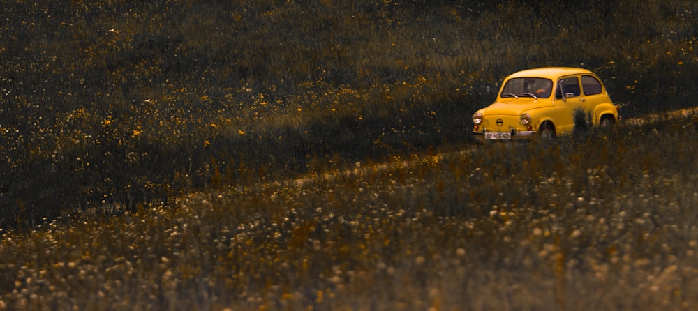 yellow 3-door hatchback between plant fields