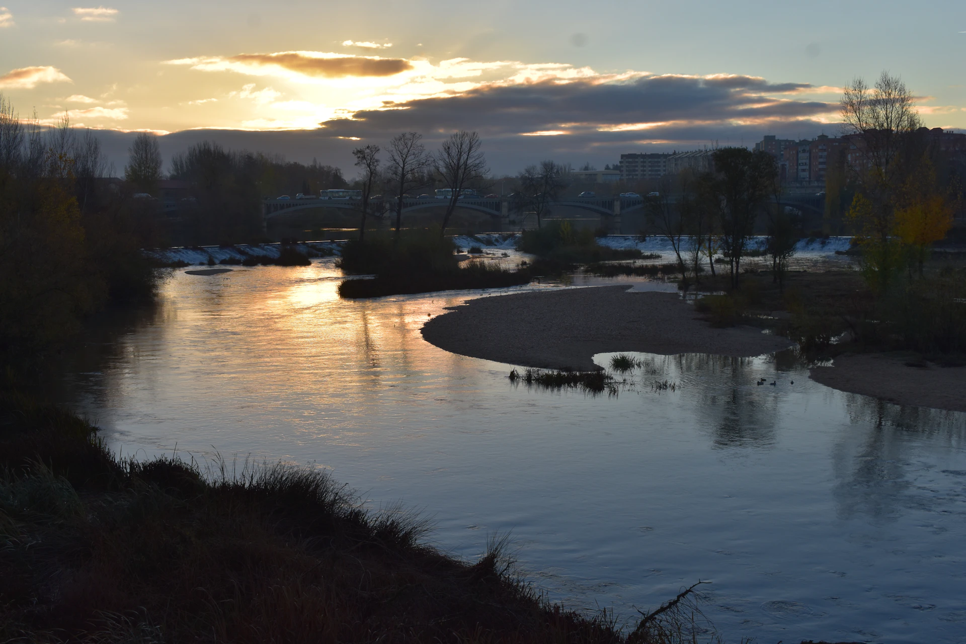 A peaceful scene of a bear resting near a riverbank at sunset, with warm colors reflecting on the water.