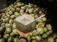 Hands holding freshly harvested coconuts with rich orange hues in a sunny plantation.
