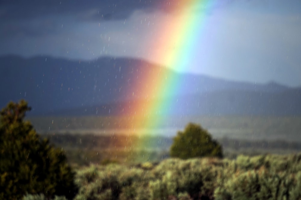 rainbow during daytime