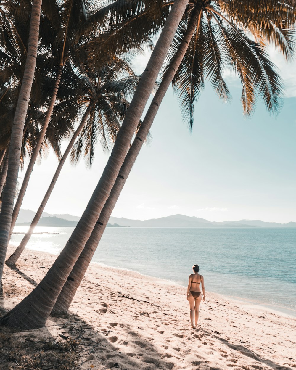 woman in maroon bikini standing at the shore during daytime